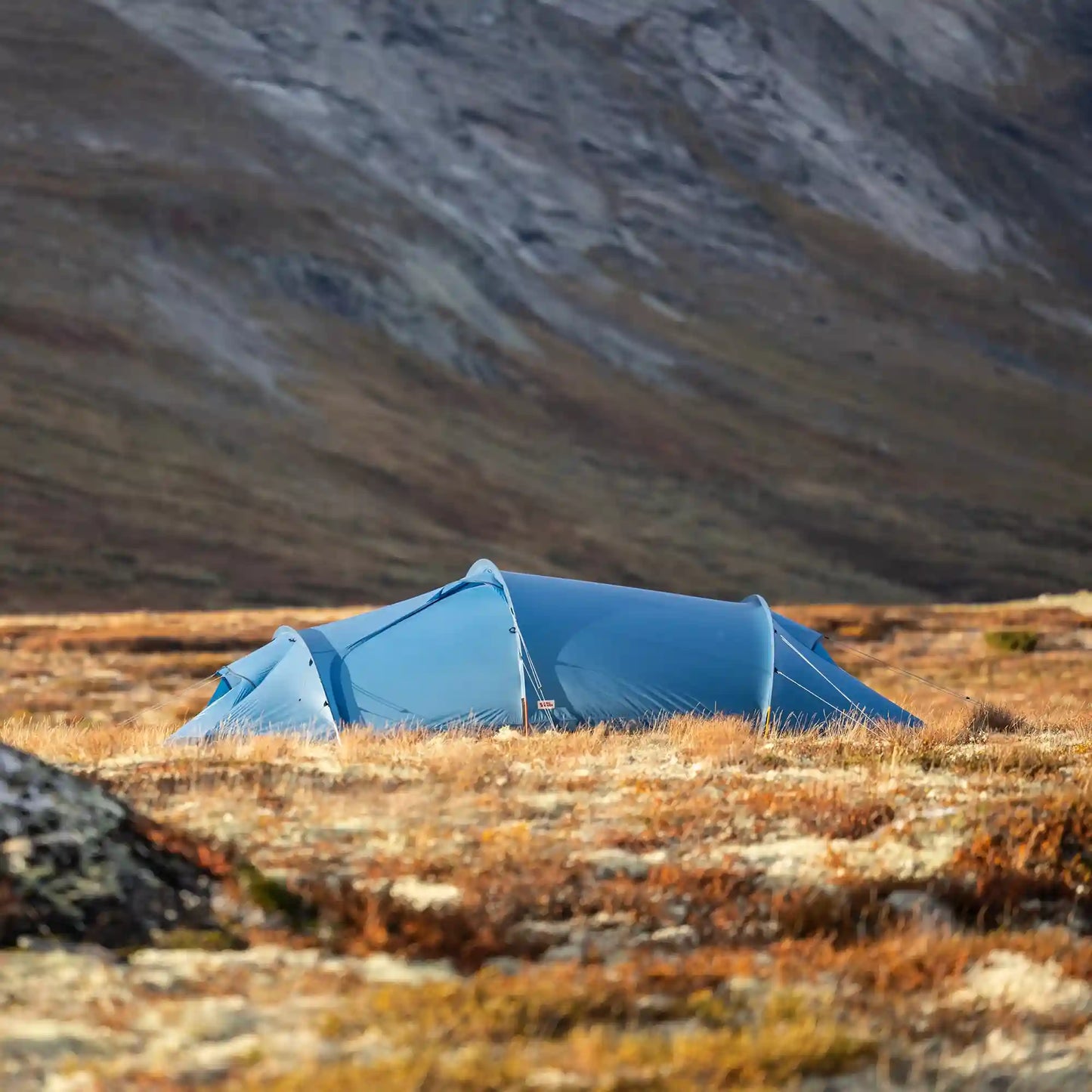 Abisko Shape 2
