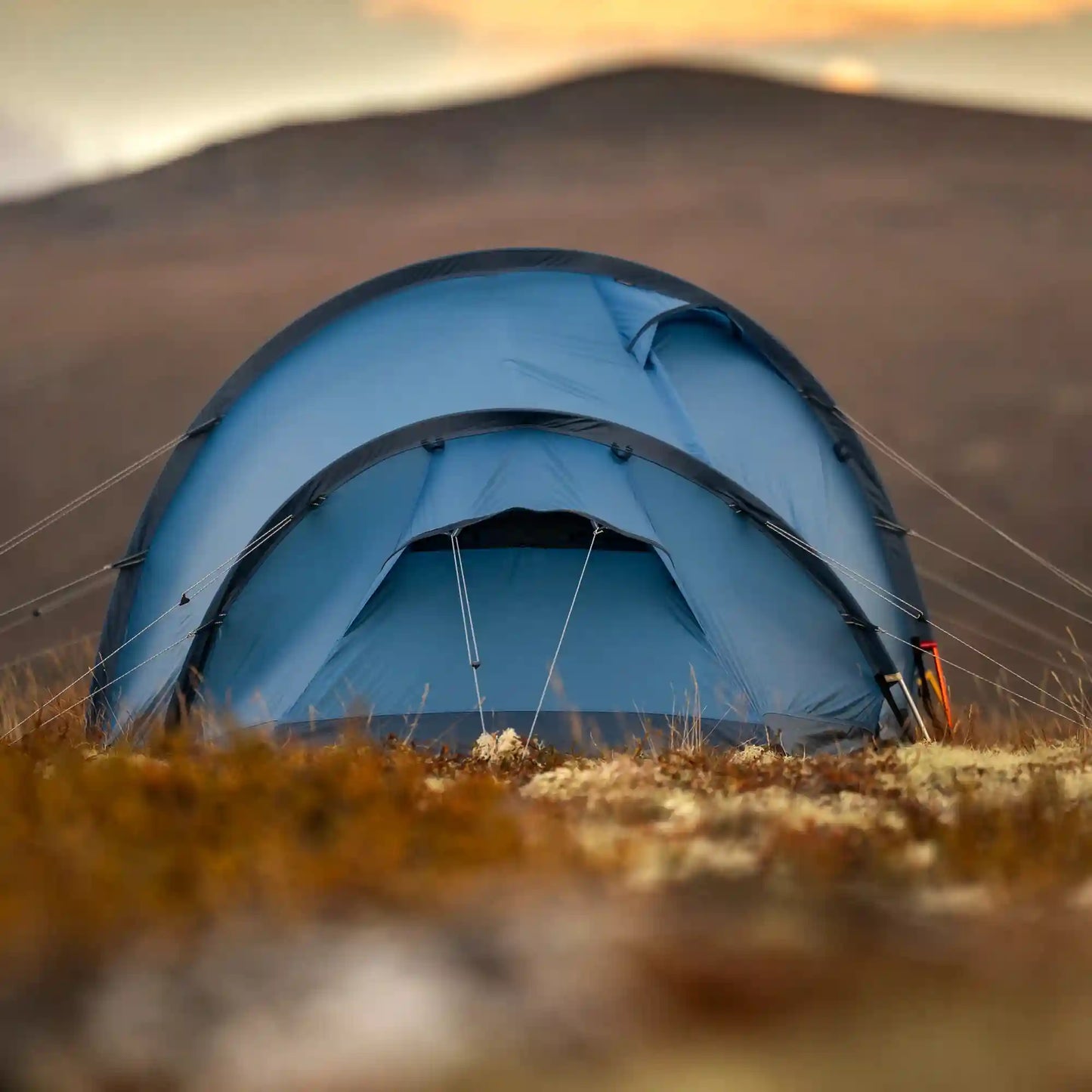 Abisko Shape 2