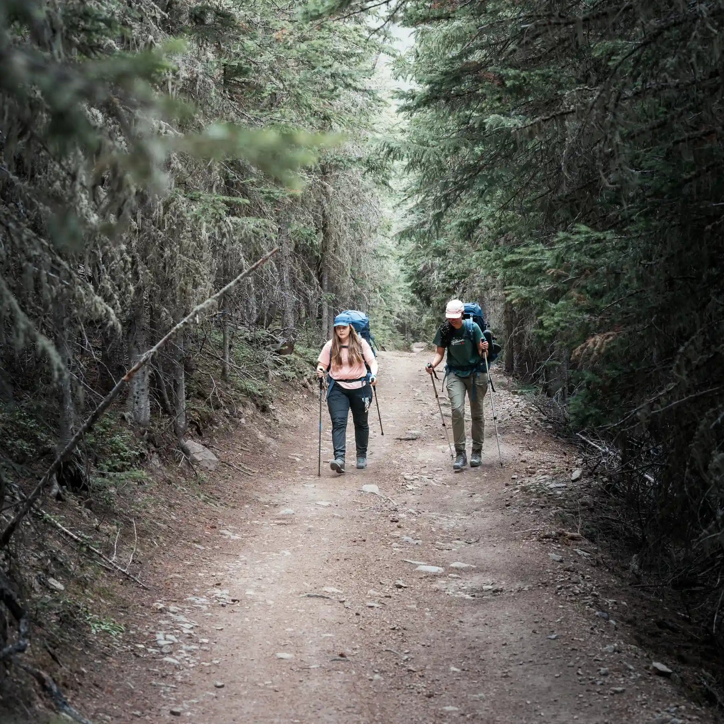 Abisko Hybrid Trail Trs W